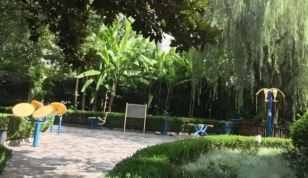 斗妻